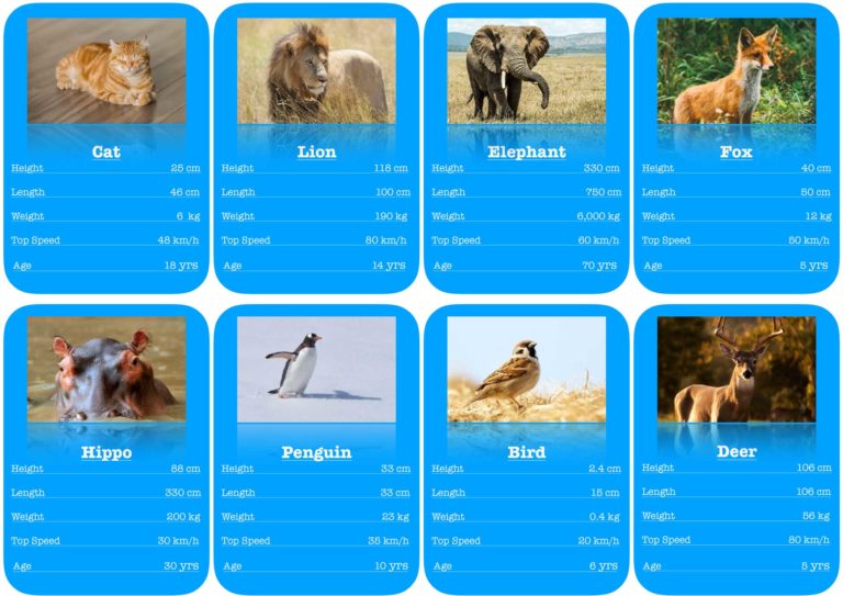 animal fact file cards