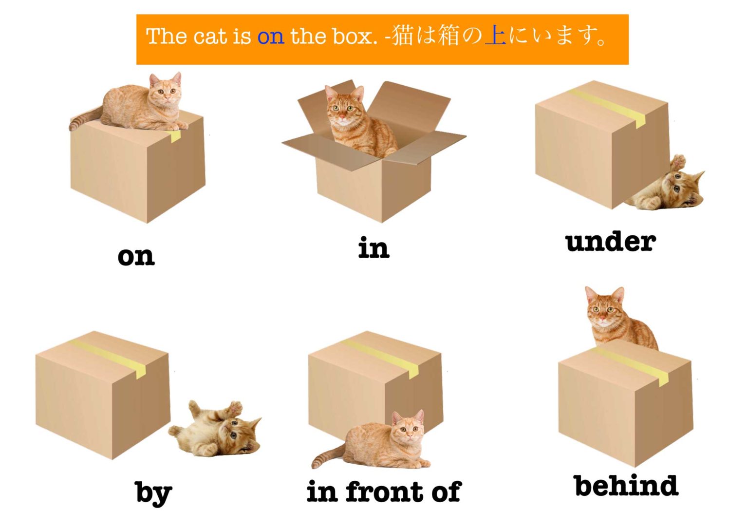 prepositions-of-place-poster-a-fox-in-japan