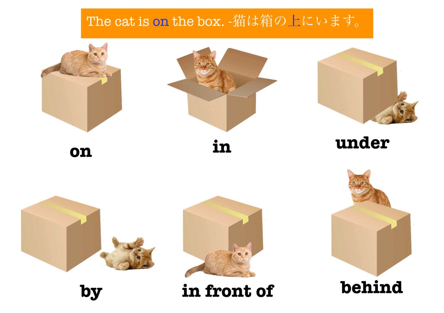 Prepositions Of Place Poster A Fox In Japan