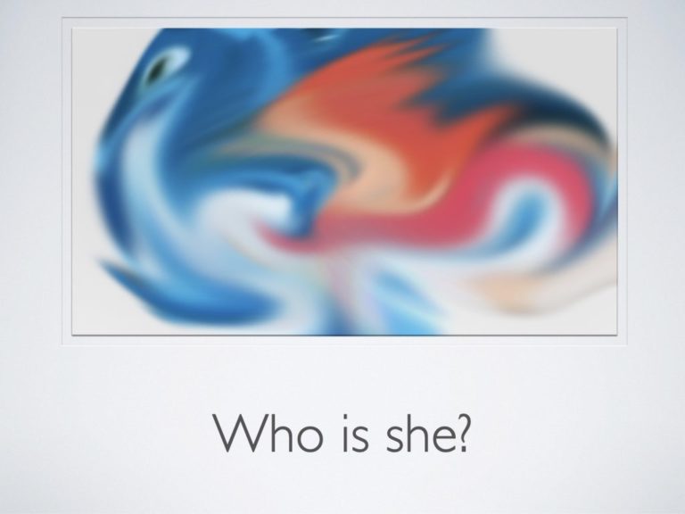 who-is-he-she–presentation.022