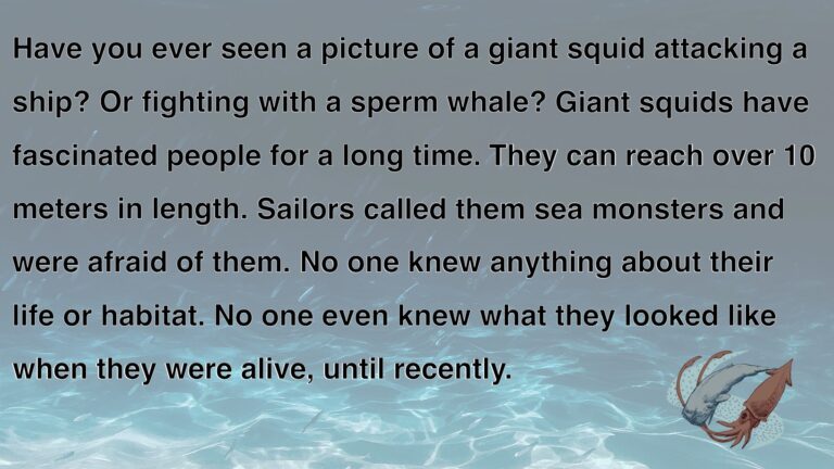 Giant Squid.011