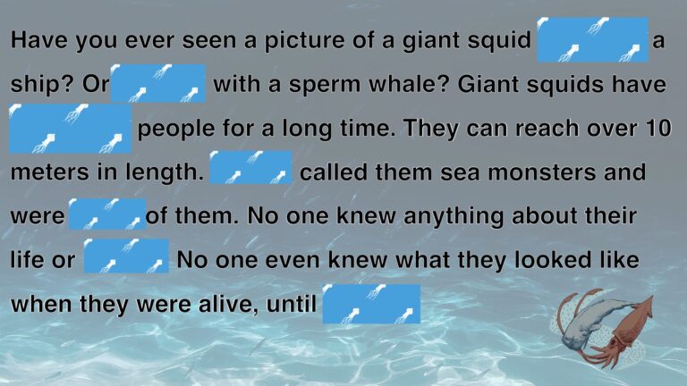 Giant Squid.019