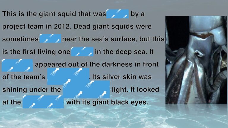 Giant Squid.020